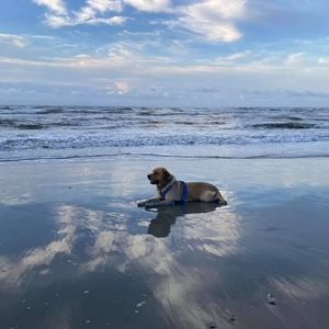 Meet your Posher, Jane